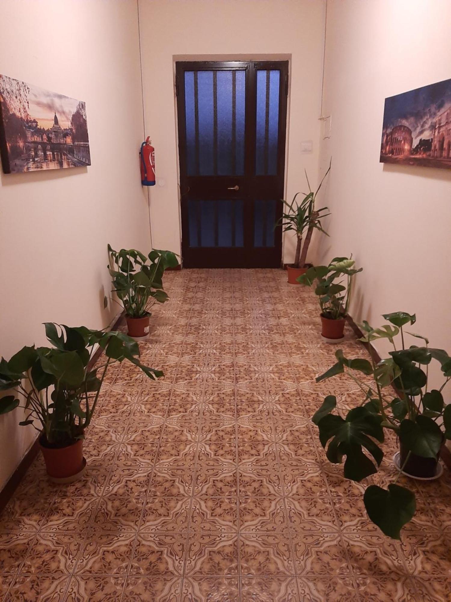 Appartamento La Bouganville - Grazioso Con Giardinetto